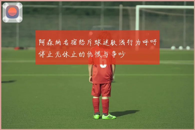 阿森纳名宿怒斥球迷肤浅行为呼吁停止无休止的仇恨与争吵