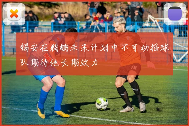 锡安在鹈鹕未来计划中不可动摇球队期待他长期效力